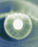 Eye Image